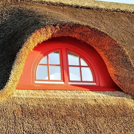 Koggenblick Zierow