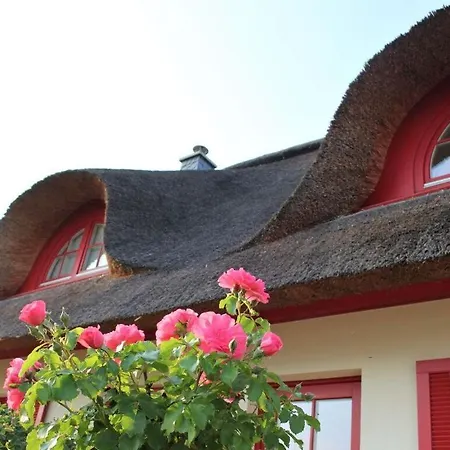 Koggenblick Zierow